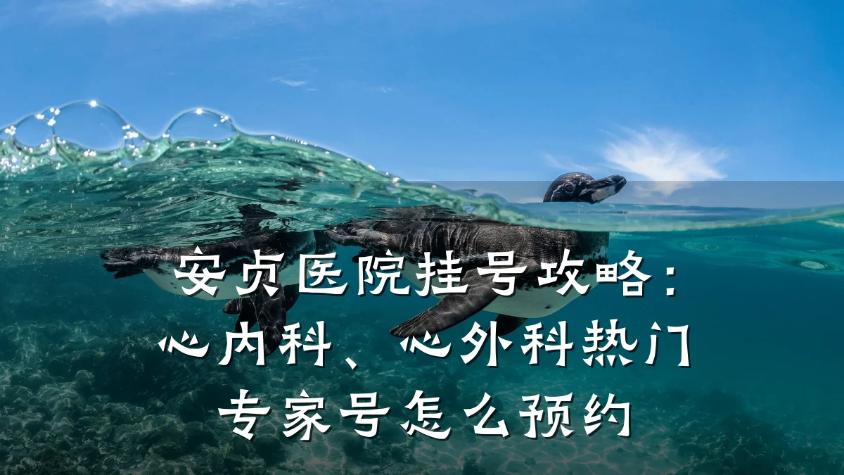安贞医院挂号攻略：心内科、心外科热门专家号怎么预约