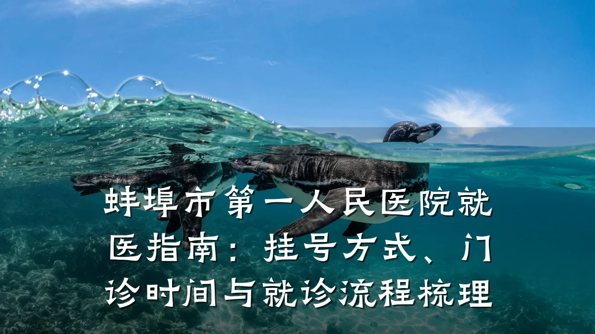蚌埠市第一人民医院就医指南：挂号方式、门诊时间与就诊流程梳理