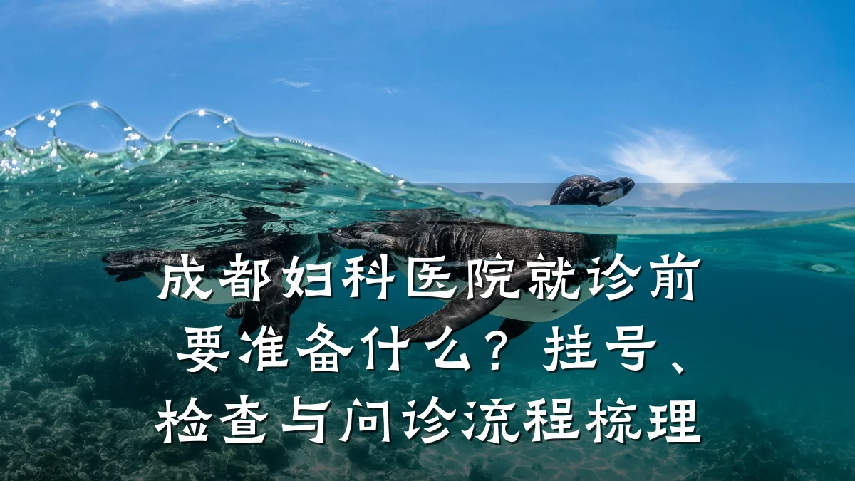 成都妇科医院就诊前要准备什么？挂号、检查与问诊流程梳理