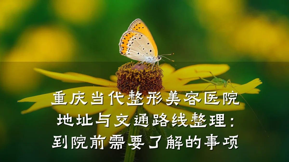 重庆当代整形美容医院地址与交通路线整理：到院前需要了解的事项