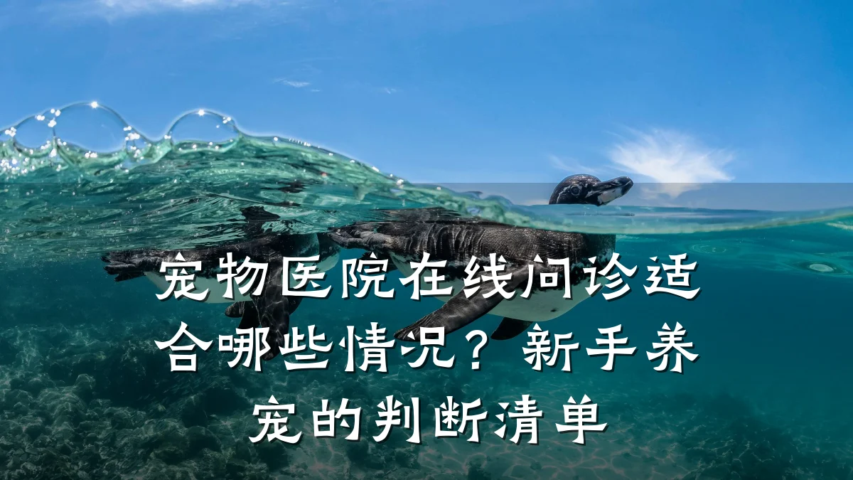 宠物医院在线问诊适合哪些情况？新手养宠的判断清单