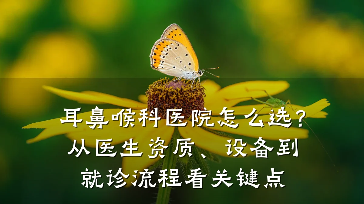 耳鼻喉科医院怎么选？从医生资质、设备到就诊流程看关键点
