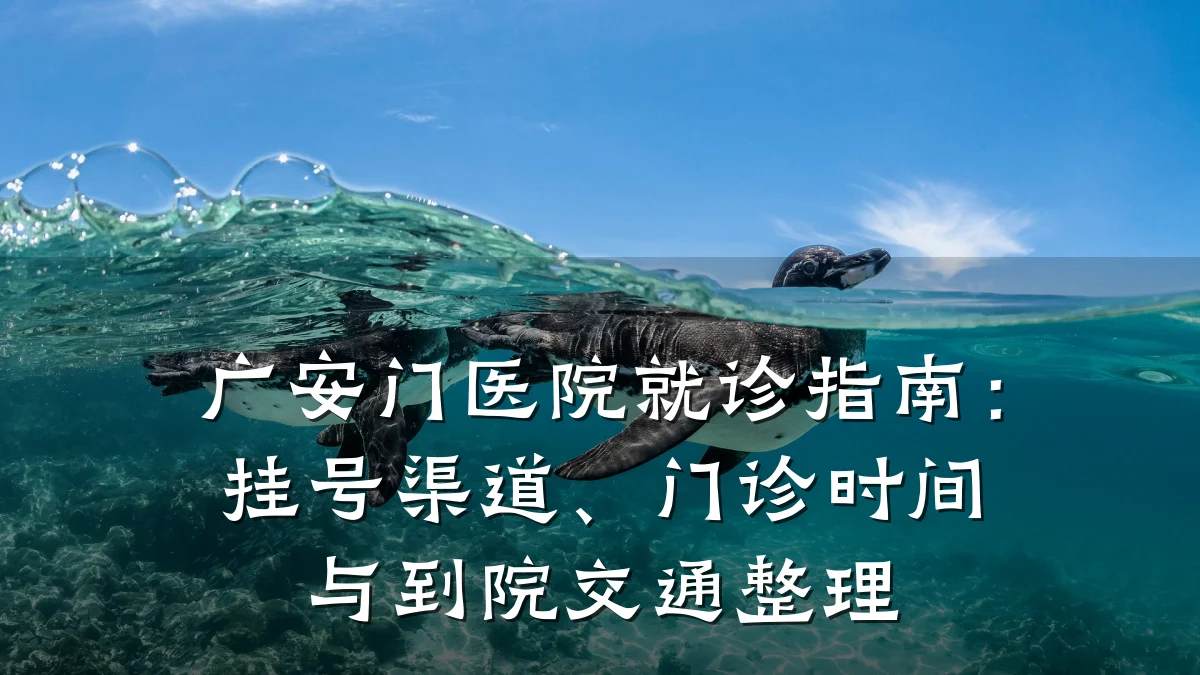 广安门医院就诊指南：挂号渠道、门诊时间与到院交通整理
