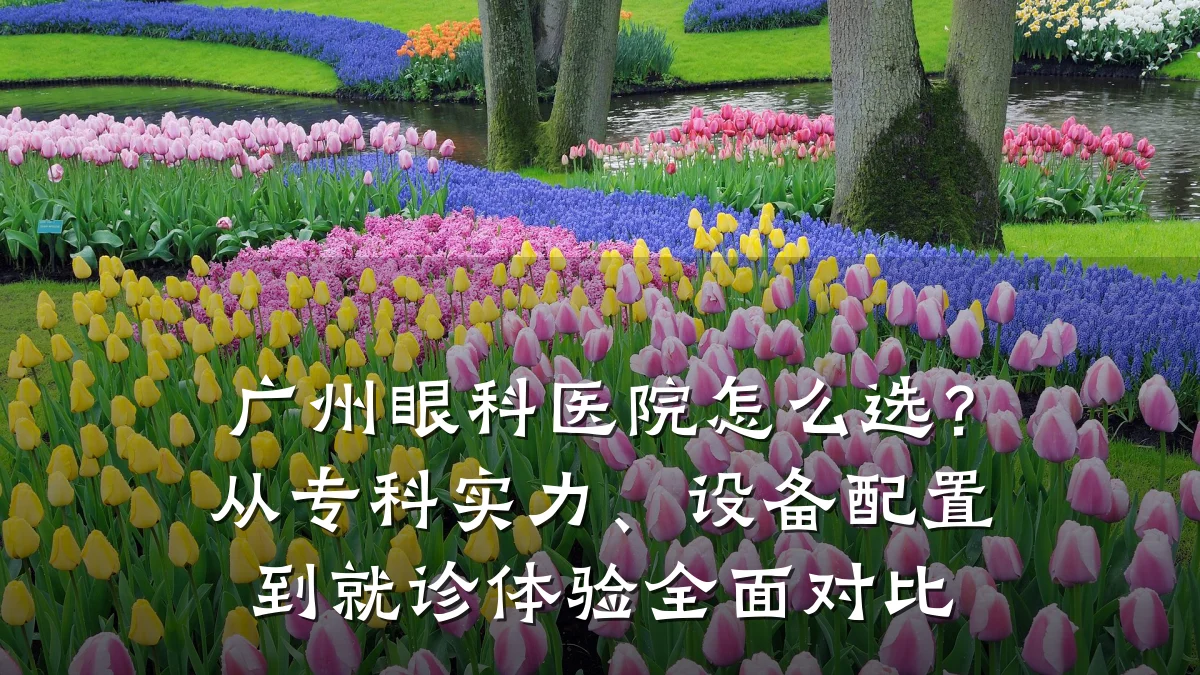 广州眼科医院怎么选？从专科实力、设备配置到就诊体验全面对比