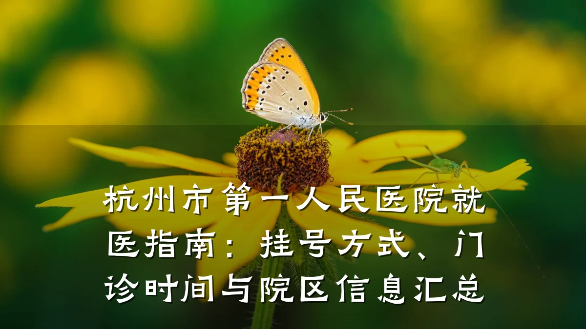 杭州市第一人民医院就医指南：挂号方式、门诊时间与院区信息汇总