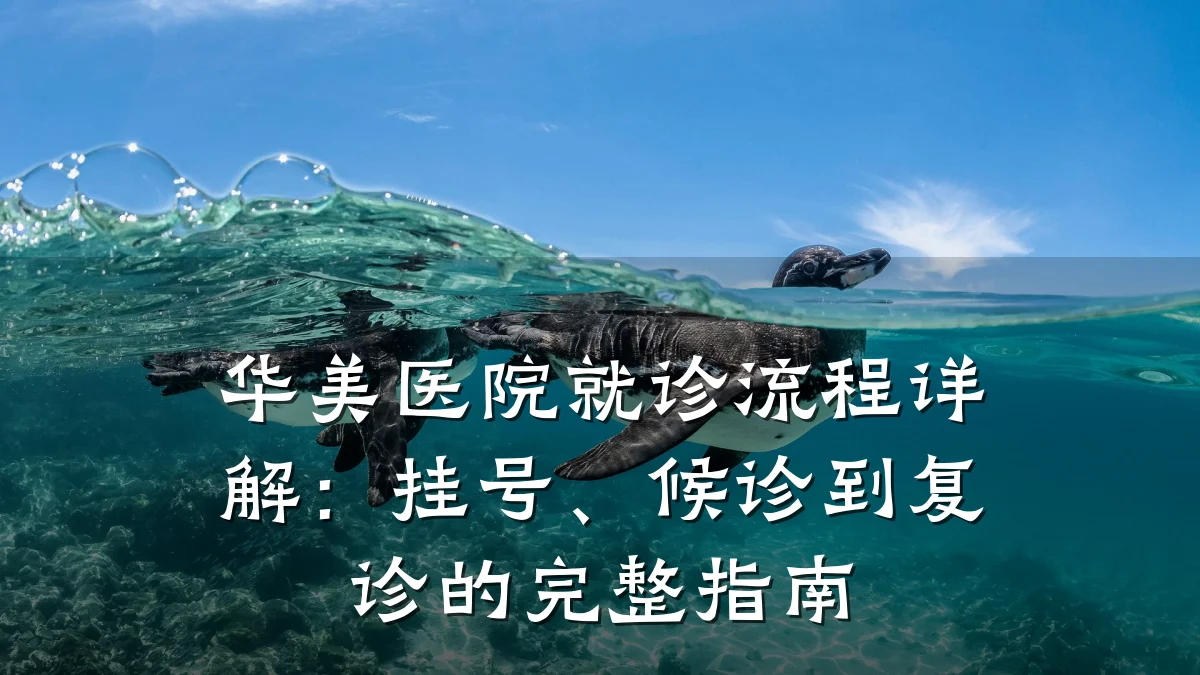 华美医院就诊流程详解：挂号、候诊到复诊的完整指南