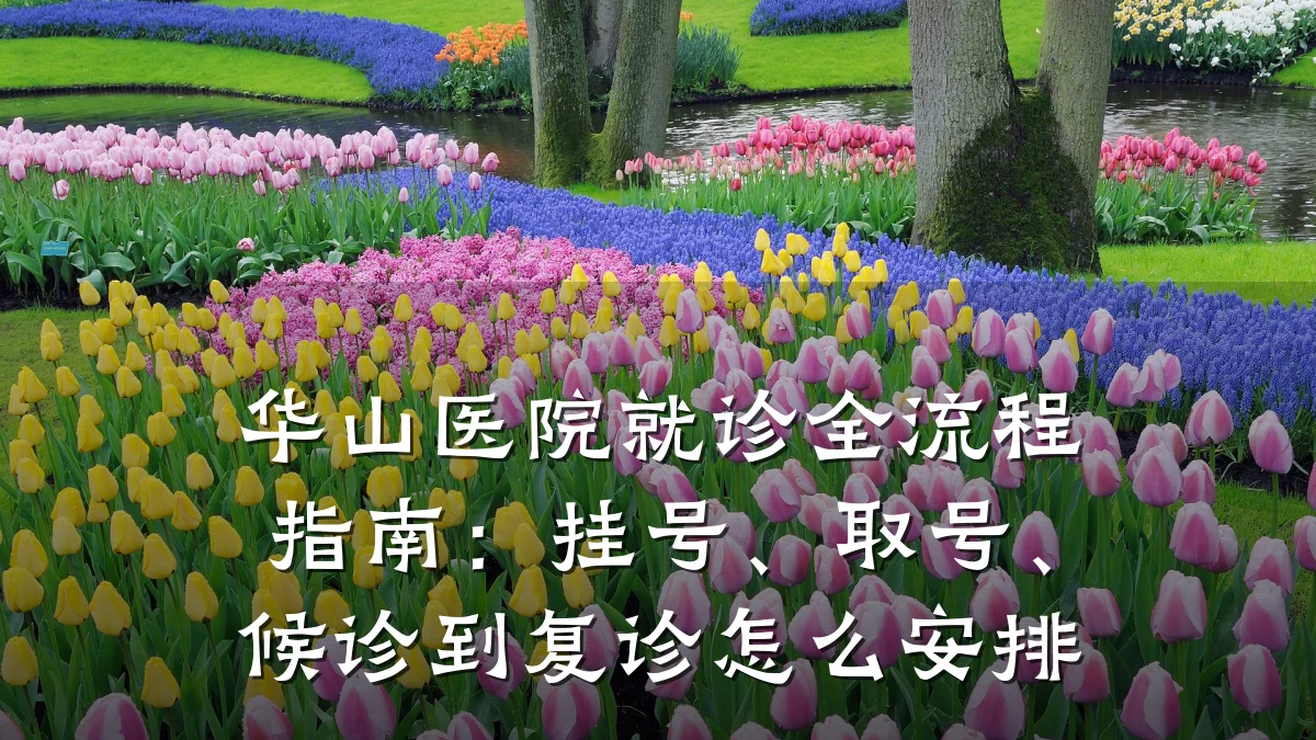 华山医院就诊全流程指南：挂号、取号、候诊到复诊怎么安排