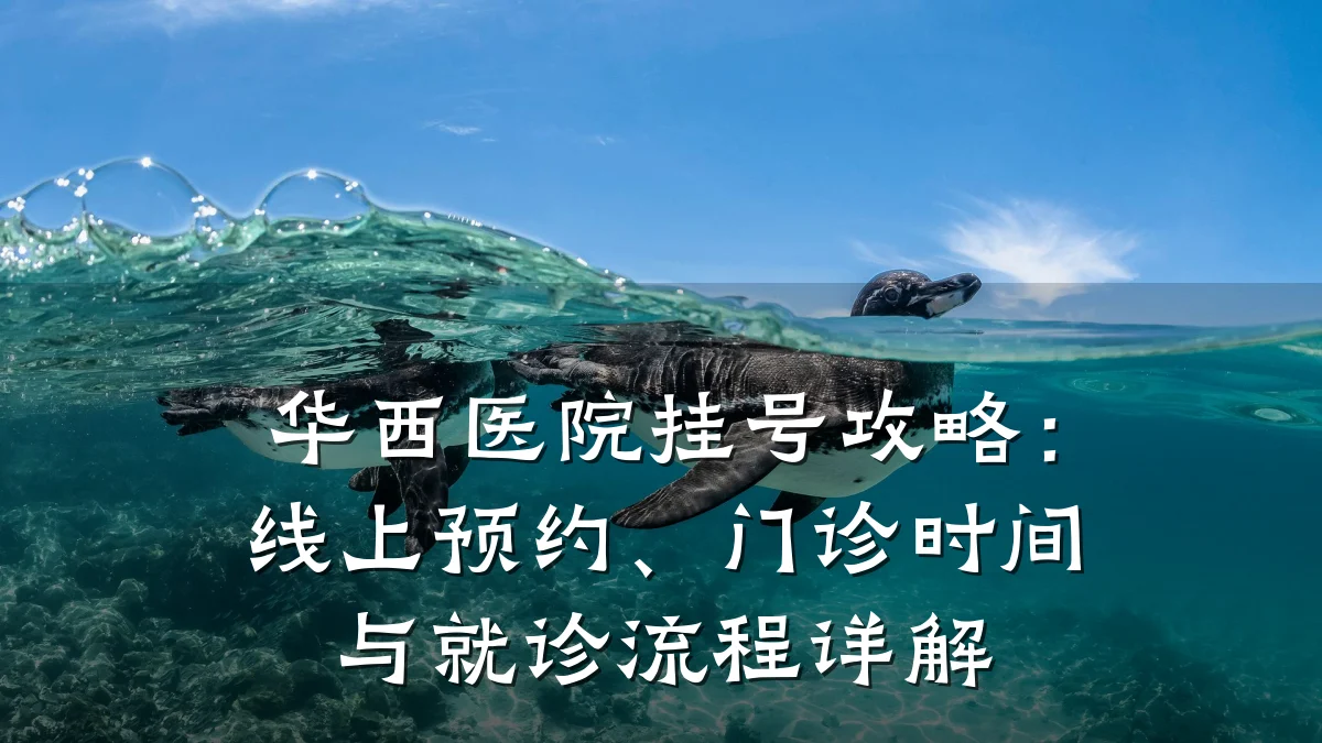华西医院挂号攻略：线上预约、门诊时间与就诊流程详解