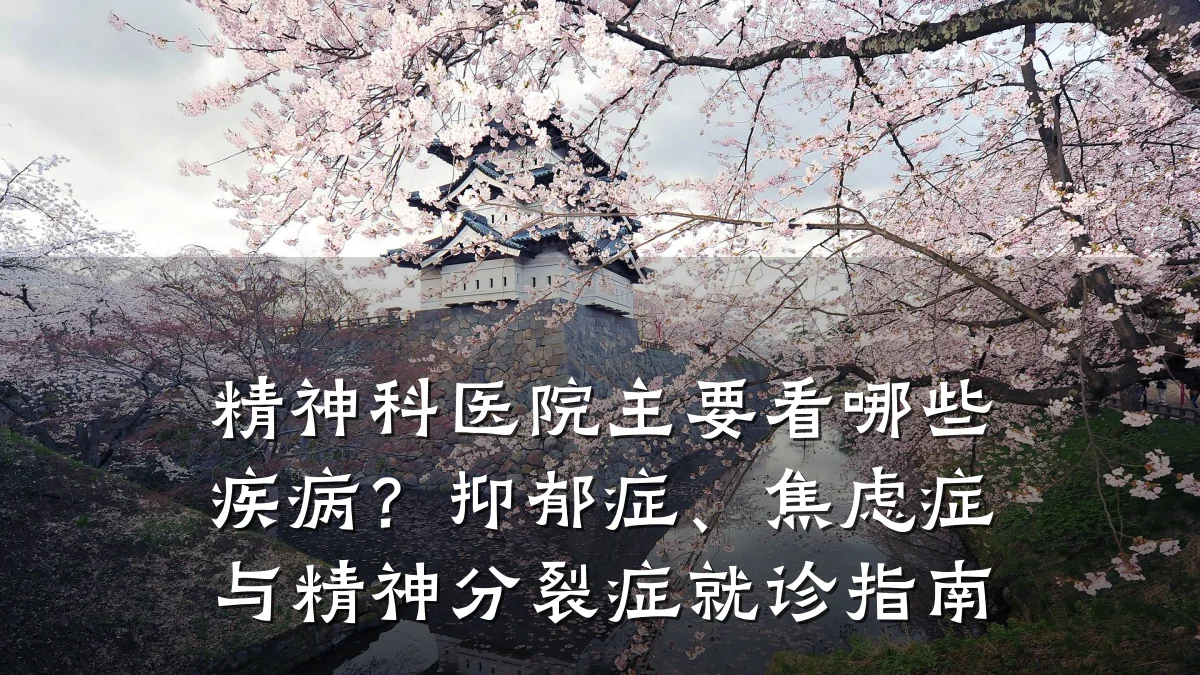 精神科医院主要看哪些疾病？抑郁症、焦虑症与精神分裂症就诊指南