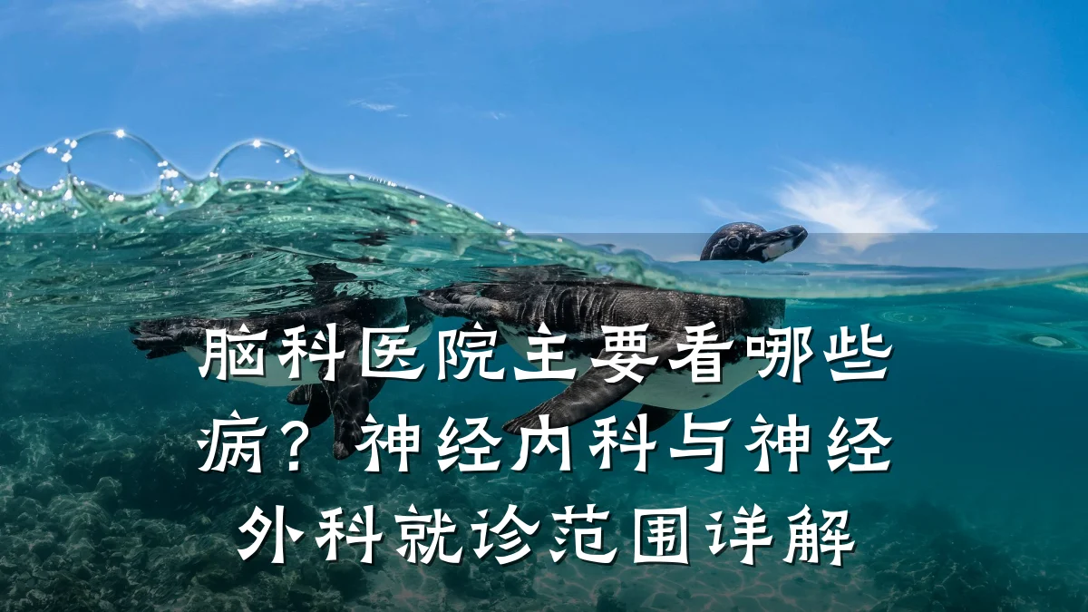 脑科医院主要看哪些病？神经内科与神经外科就诊范围详解