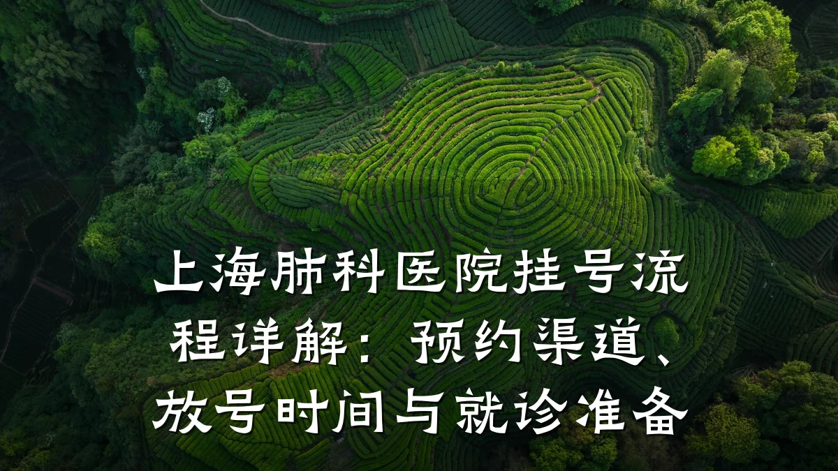 上海肺科医院挂号流程详解：预约渠道、放号时间与就诊准备