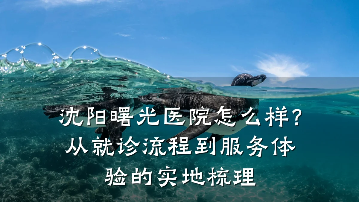 沈阳曙光医院怎么样?从就诊流程到服务体验的实地梳理