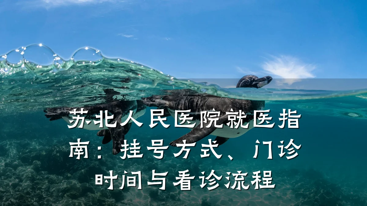 苏北人民医院就医指南：挂号方式、门诊时间与看诊流程