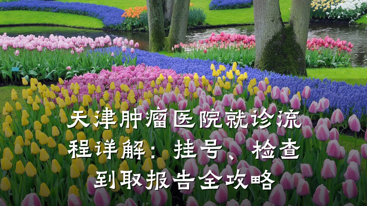 天津肿瘤医院就诊流程详解：挂号、检查到取报告全攻略