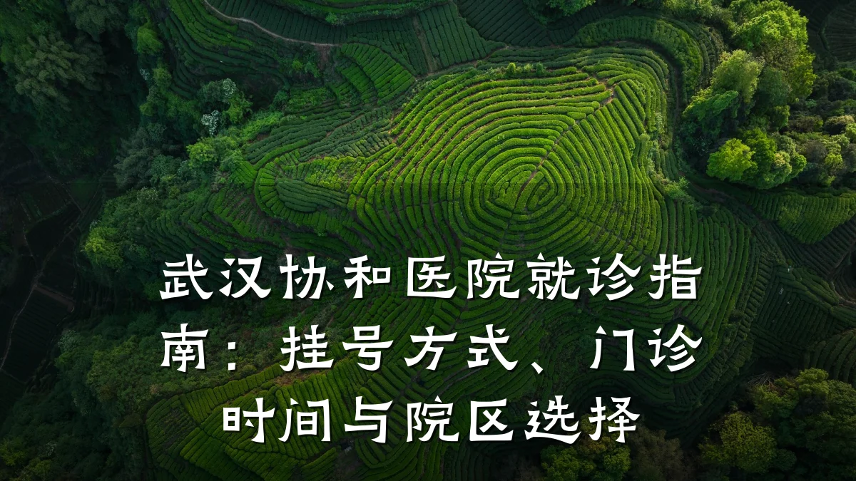 武汉协和医院就诊指南：挂号方式、门诊时间与院区选择