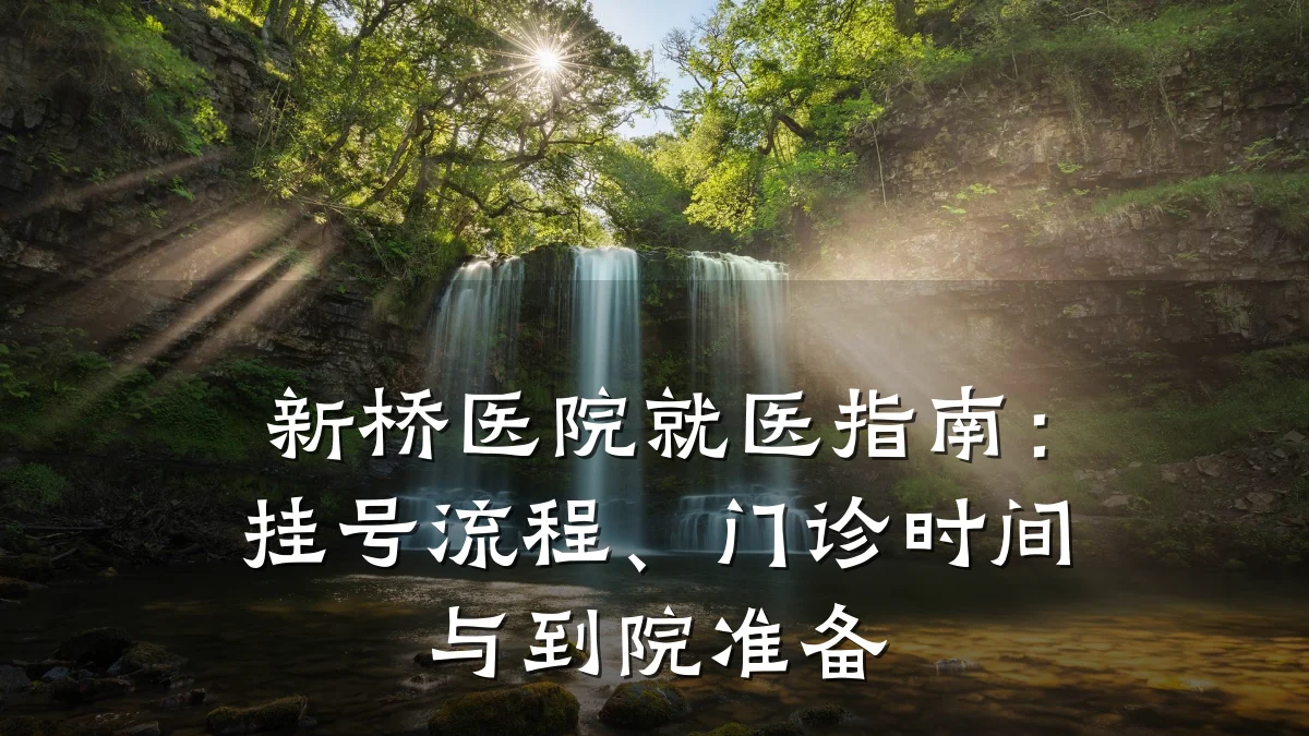 新桥医院就医指南：挂号流程、门诊时间与到院准备