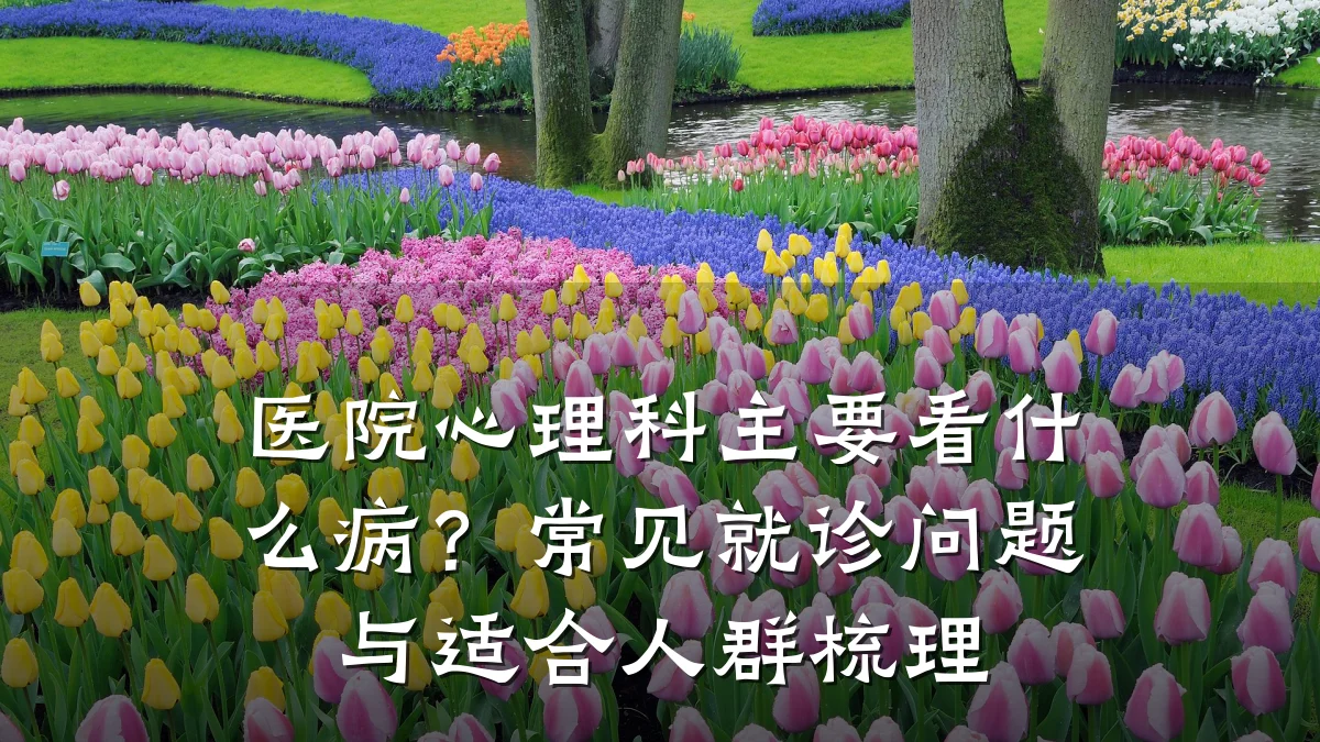 医院心理科主要看什么病？常见就诊问题与适合人群梳理