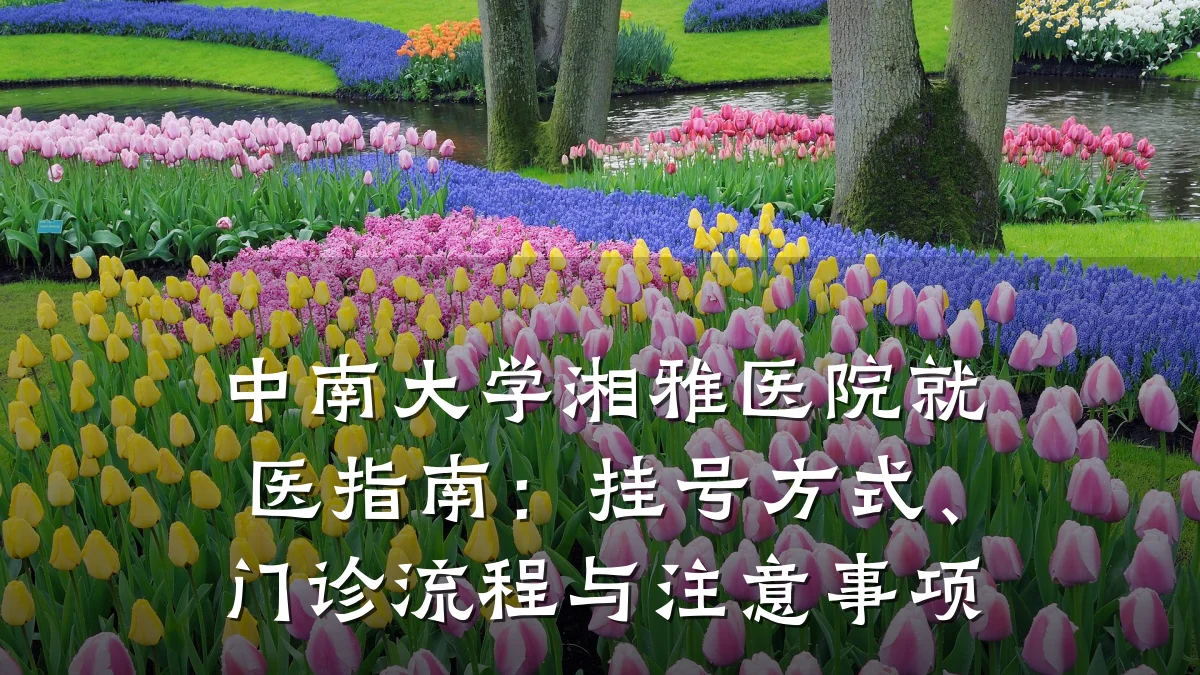 中南大学湘雅医院就医指南：挂号方式、门诊流程与注意事项
