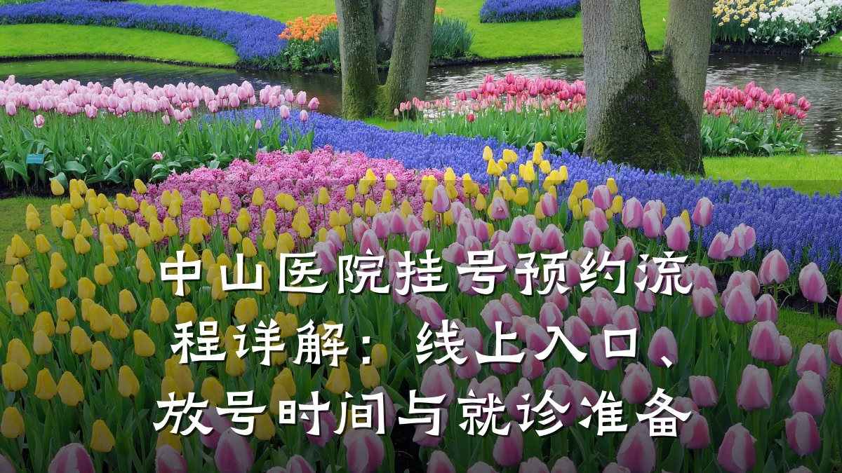中山医院挂号预约流程详解：线上入口、放号时间与就诊准备