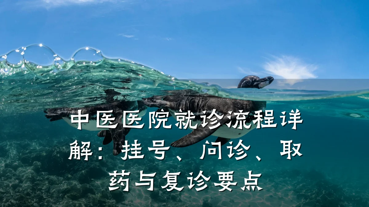 中医医院就诊流程详解：挂号、问诊、取药与复诊要点
