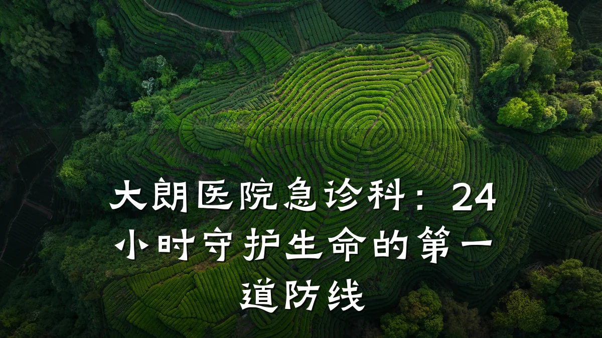 大朗医院急诊科：24小时守护生命的第一道防线