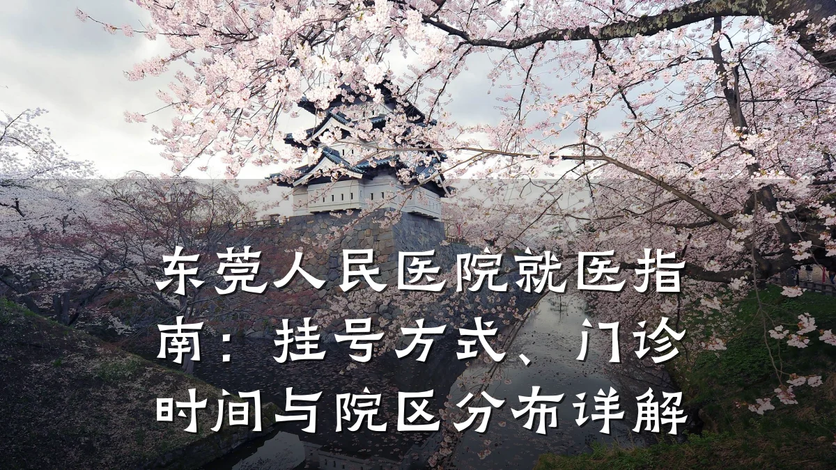 东莞人民医院就医指南：挂号方式、门诊时间与院区分布详解