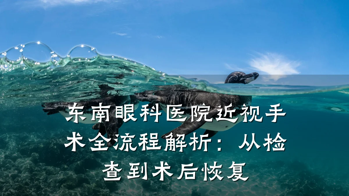 东南眼科医院近视手术全流程解析：从检查到术后恢复