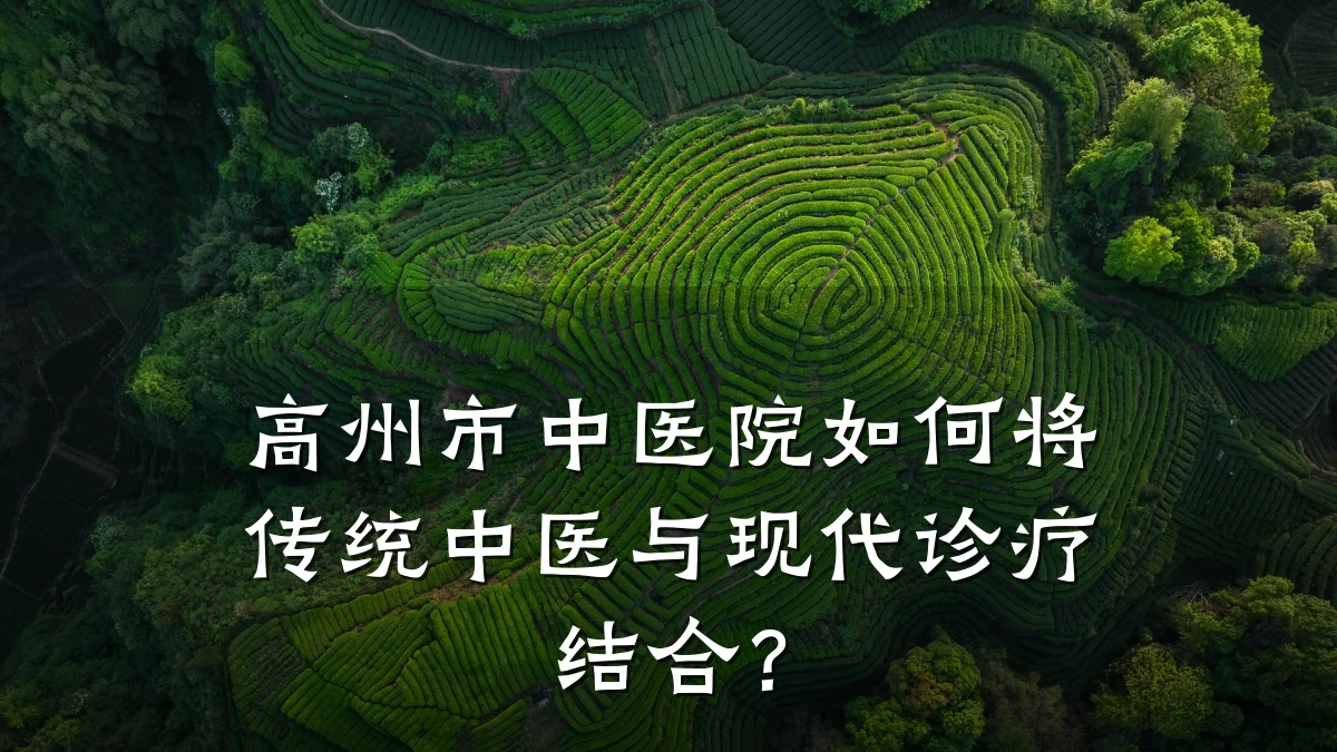 高州市中医院如何将传统中医与现代诊疗结合？