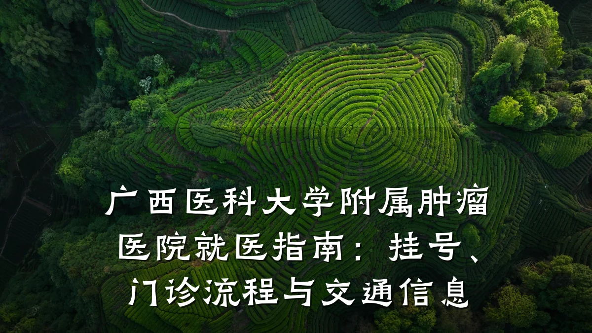 广西医科大学附属肿瘤医院就医指南：挂号、门诊流程与交通信息