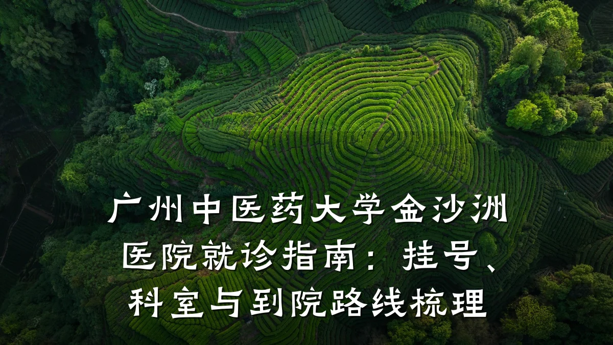 广州中医药大学金沙洲医院就诊指南：挂号、科室与到院路线梳理