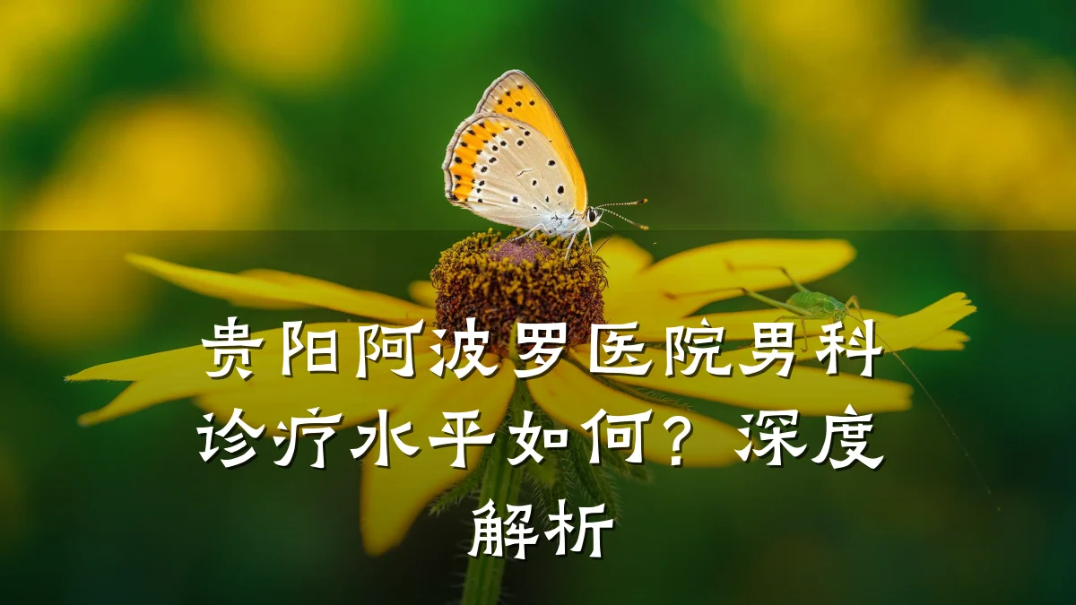 贵阳阿波罗医院男科诊疗水平如何？深度解析