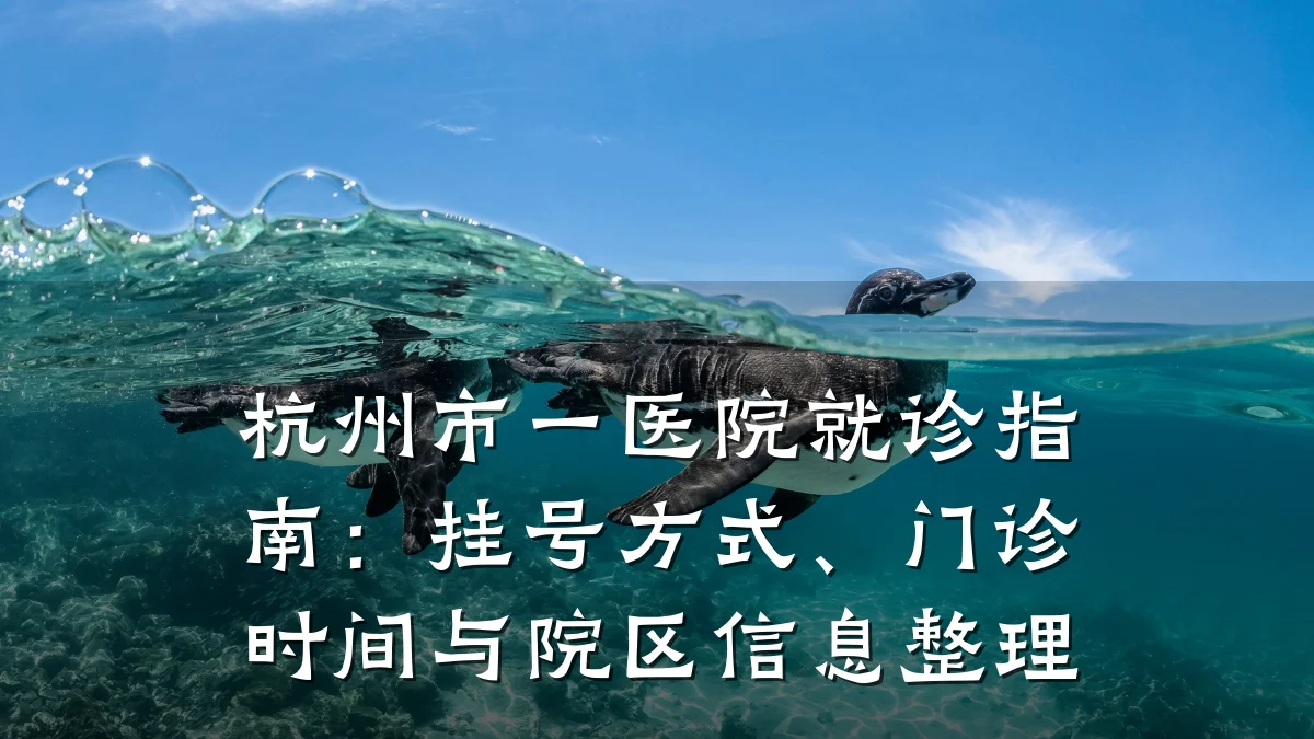 杭州市一医院就诊指南：挂号方式、门诊时间与院区信息整理