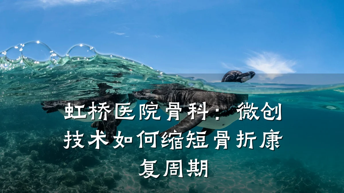 虹桥医院骨科：微创技术如何缩短骨折康复周期