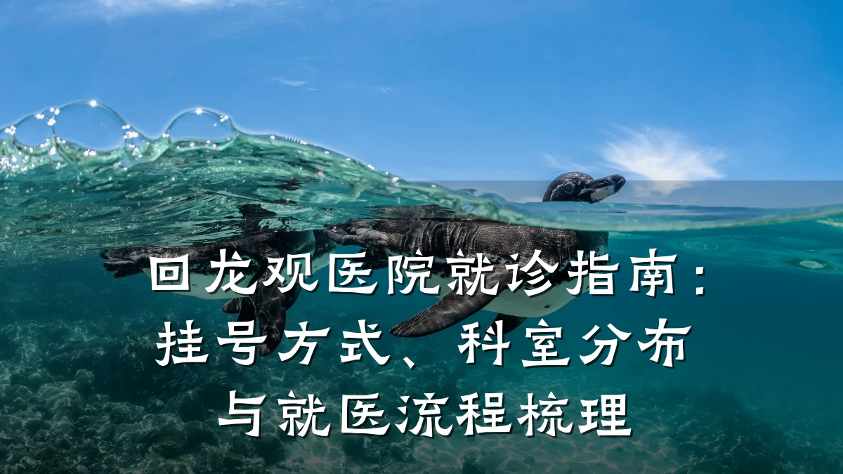 回龙观医院就诊指南：挂号方式、科室分布与就医流程梳理