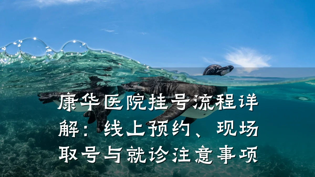 康华医院挂号流程详解：线上预约、现场取号与就诊注意事项