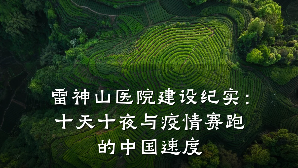 雷神山医院建设纪实：十天十夜与疫情赛跑的中国速度