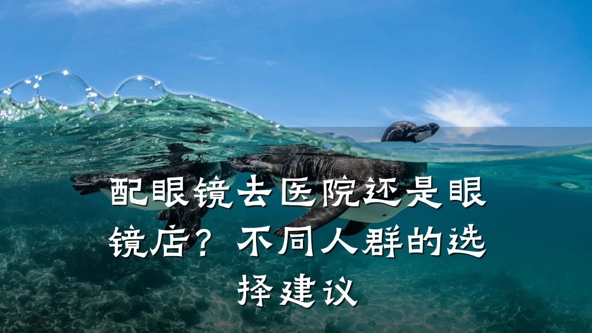 配眼镜去医院还是眼镜店?不同人群的选择建议