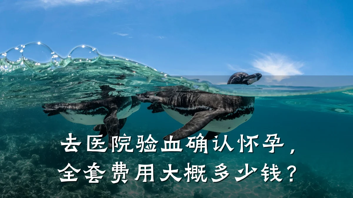 去医院验血确认怀孕，全套费用大概多少钱？