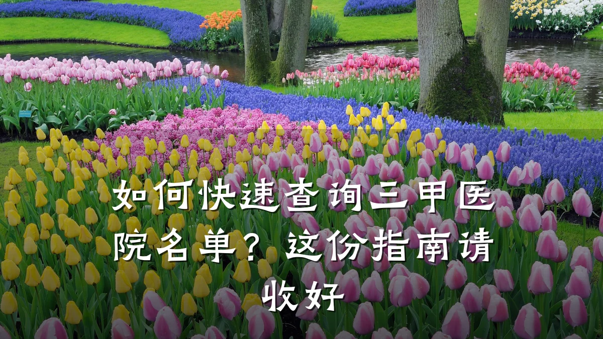 如何快速查询三甲医院名单？这份指南请收好