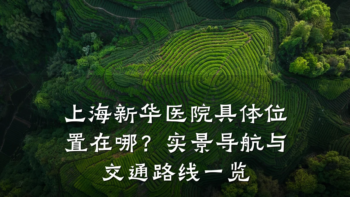 上海新华医院具体位置在哪？实景导航与交通路线一览
