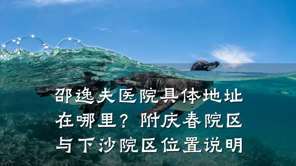 邵逸夫医院具体地址在哪里？附庆春院区与下沙院区位置说明