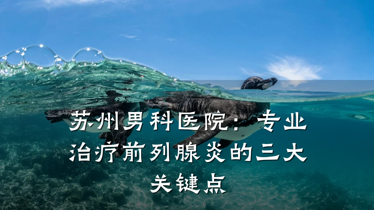 苏州男科医院：专业治疗前列腺炎的三大关键点