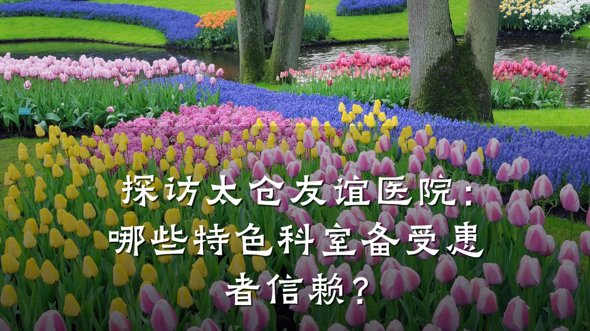 探访太仓友谊医院：哪些特色科室备受患者信赖？