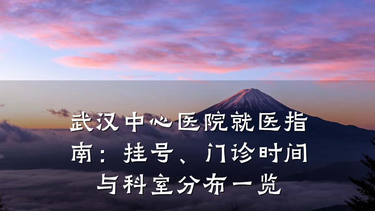 武汉中心医院就医指南：挂号、门诊时间与科室分布一览