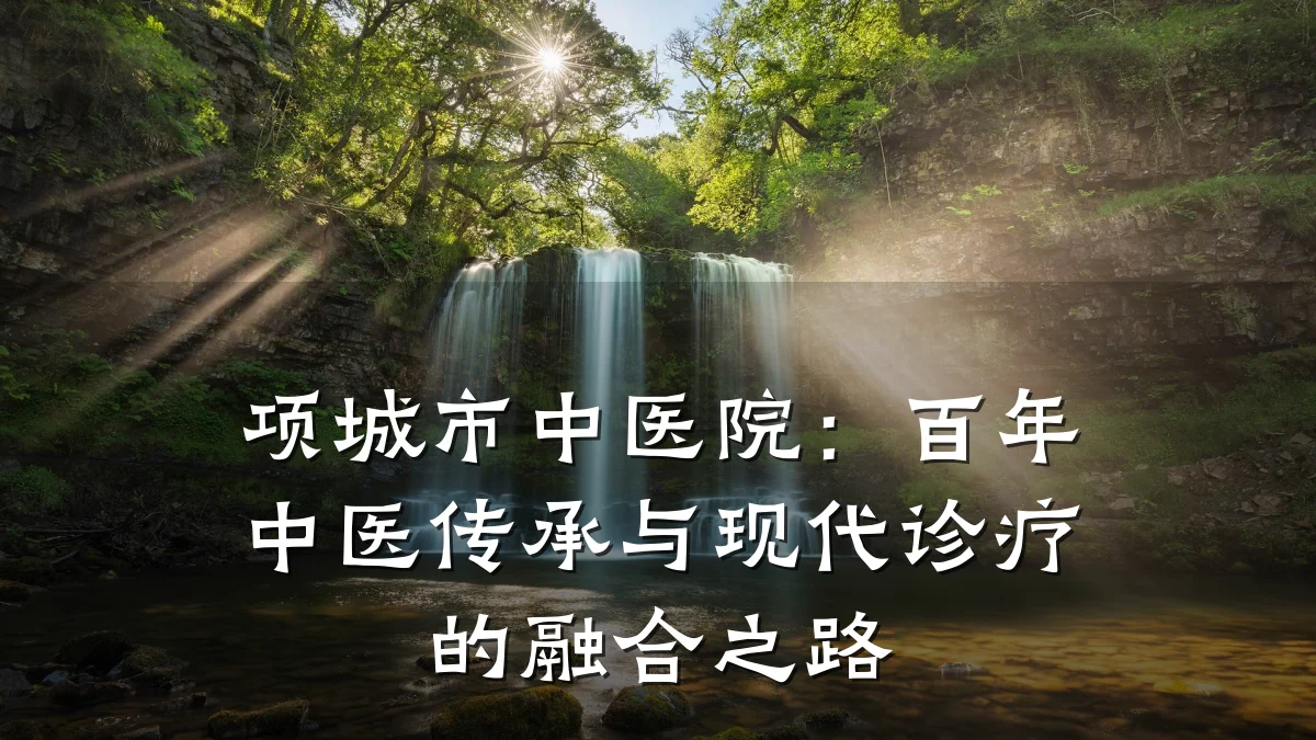 项城市中医院：百年中医传承与现代诊疗的融合之路