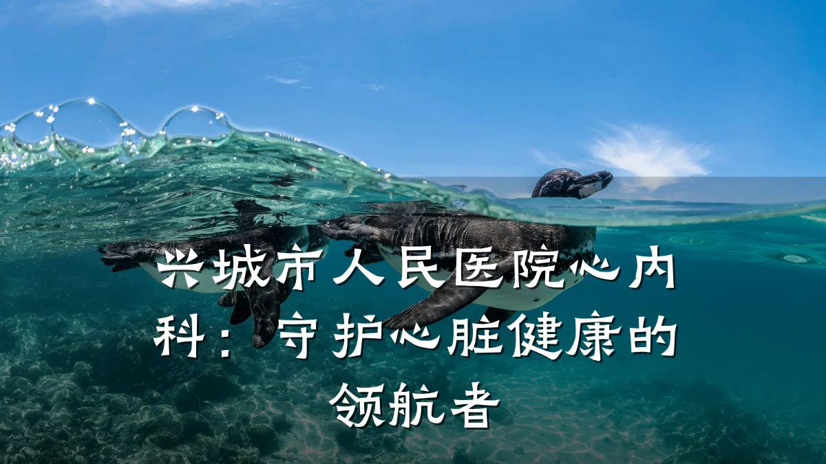 兴城市人民医院心内科：守护心脏健康的领航者