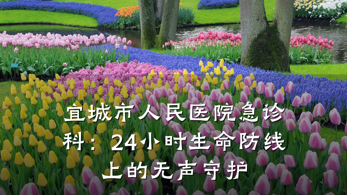 宜城市人民医院急诊科：24小时生命防线上的无声守护