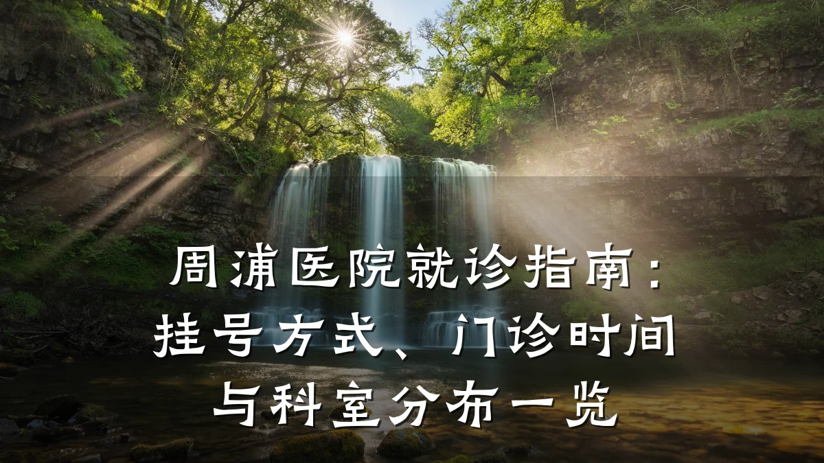 周浦医院就诊指南：挂号方式、门诊时间与科室分布一览