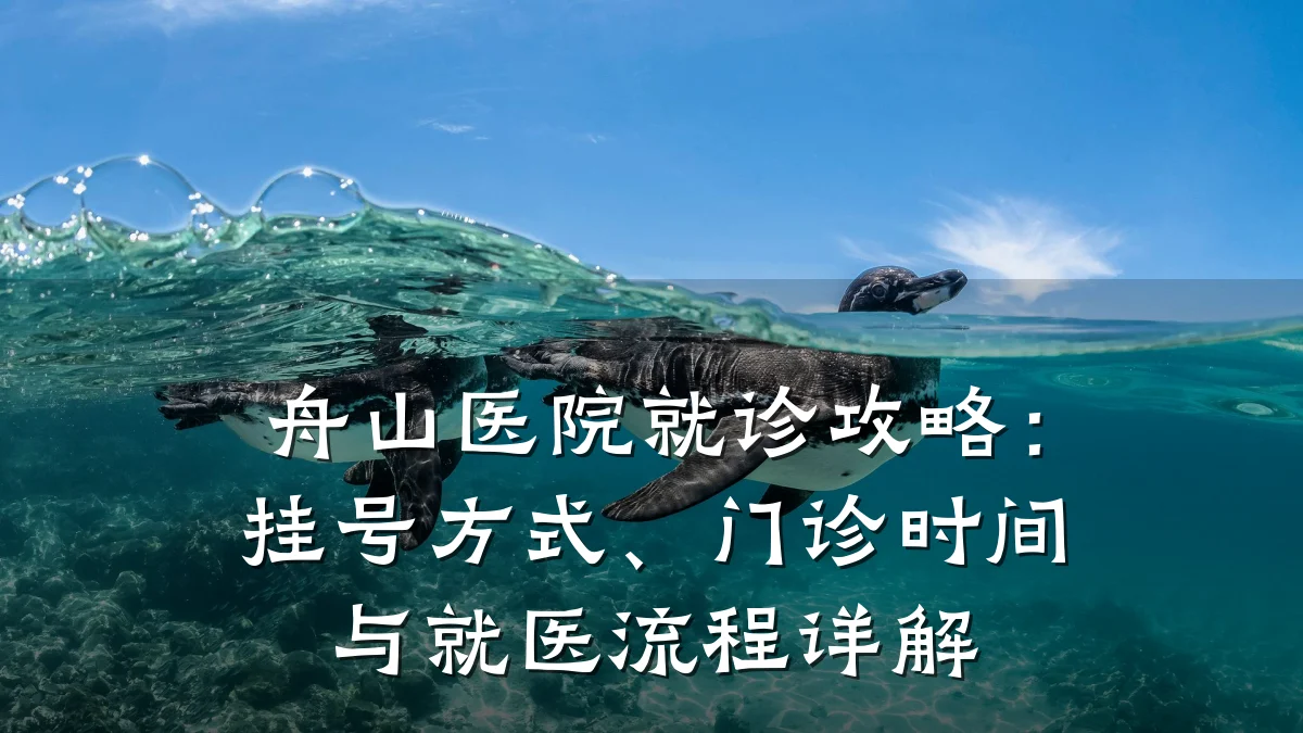 舟山医院就诊攻略：挂号方式、门诊时间与就医流程详解