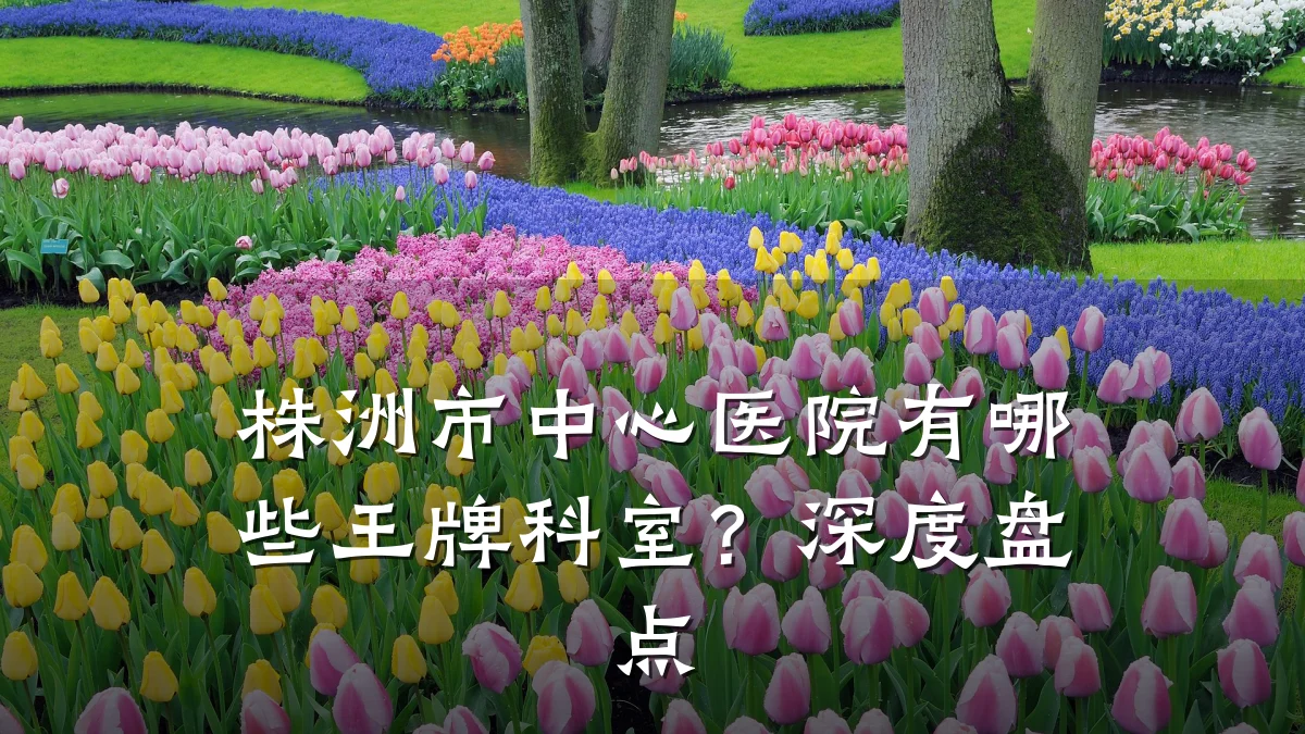 株洲市中心医院有哪些王牌科室？深度盘点